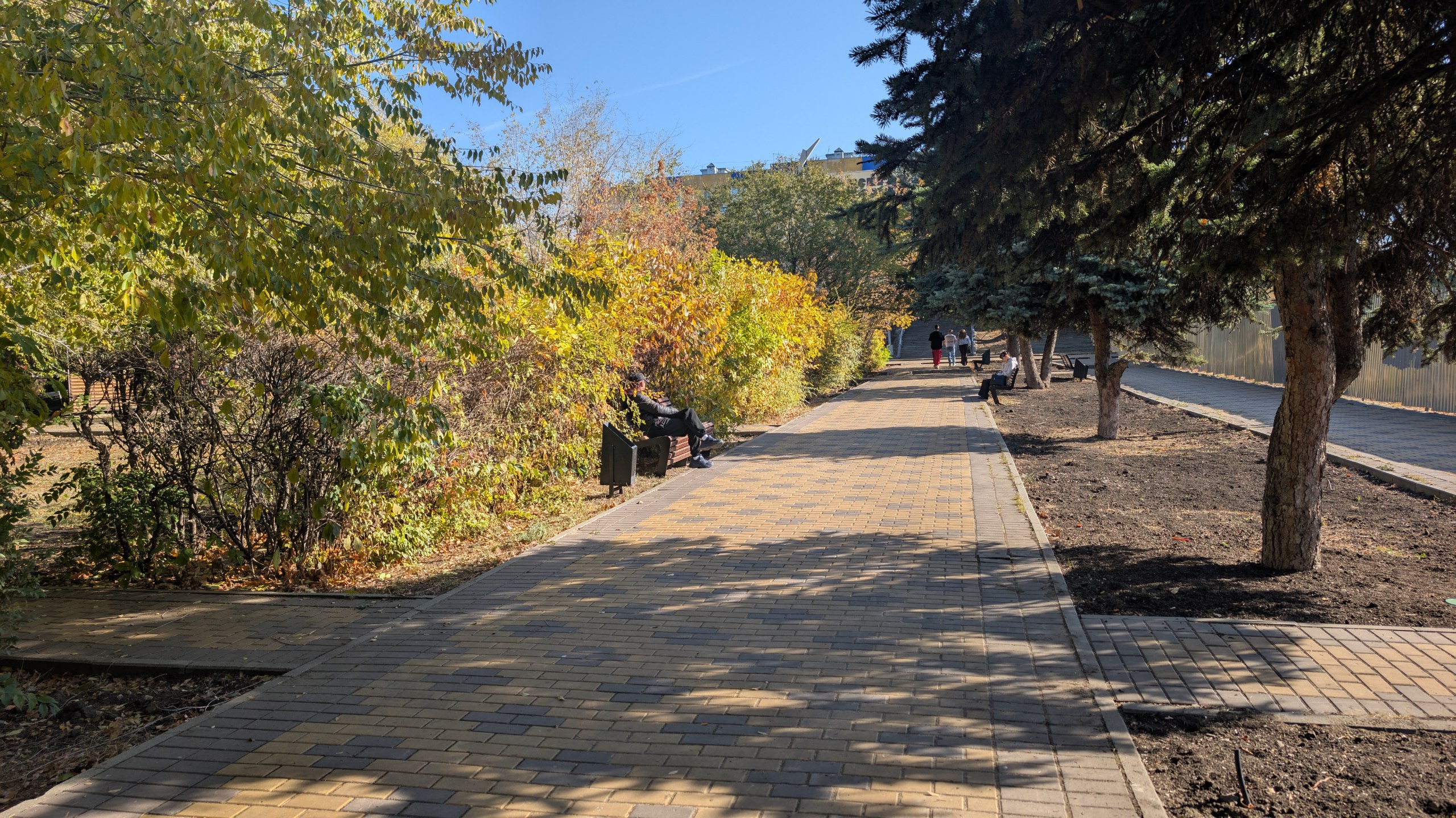 В саратовском сквере «Территория детства» осенью высадят более 200 деревьев и кустарников